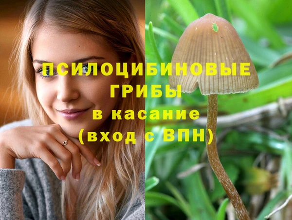 гидра Магадан