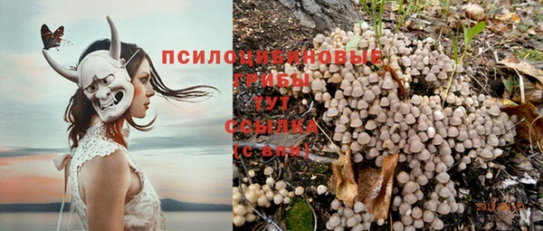 стафф Лабытнанги