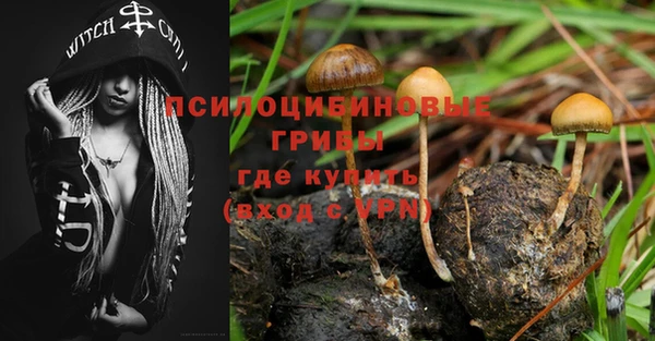 каннабис Майский
