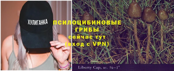 каннабис Майский