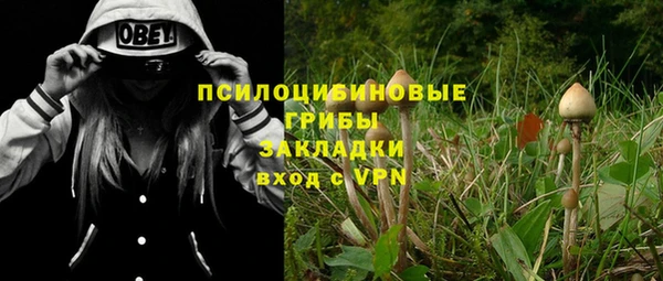 гидра Магадан