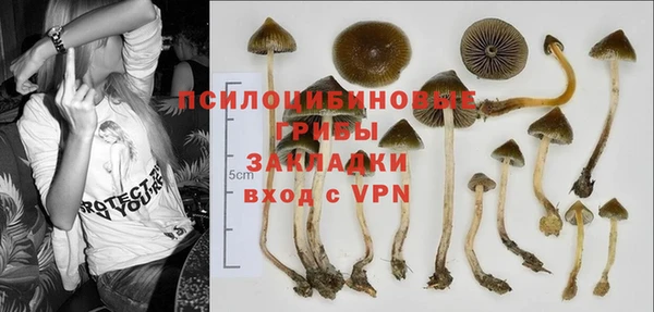 каннабис Майский